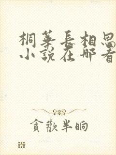 桐华长相思原著小说在哪看