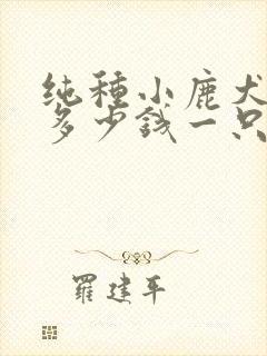 纯种小鹿犬幼犬多少钱一只