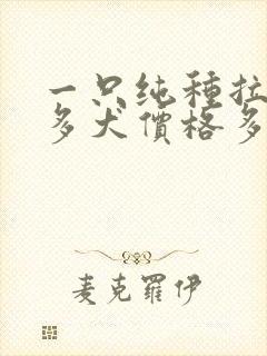 一只纯种拉布拉多犬价格多少钱