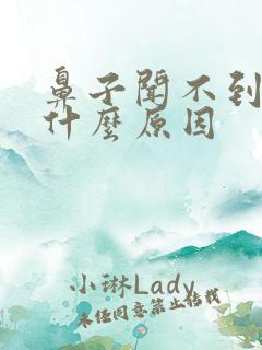 鼻子闻不到味道什么原因