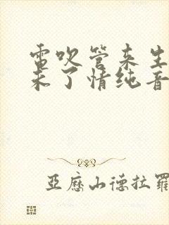 电吹管来生再续未了情纯音乐