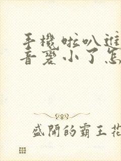 手机啦叭进水声音变小了怎么办