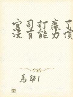 官司打赢了对方没有能力偿还怎么办