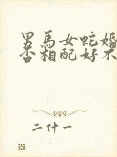 男马女蛇婚姻是否相配好不好