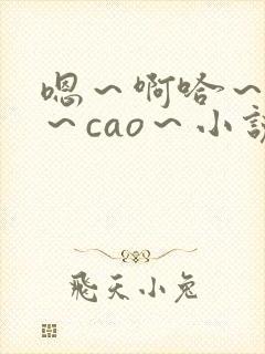 嗯～啊哈～给我～cao～小说