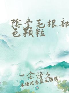 阴囊毛根部有白色颗粒