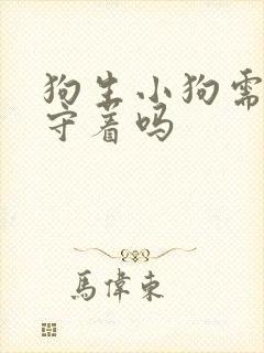 狗生小狗需要人守着吗