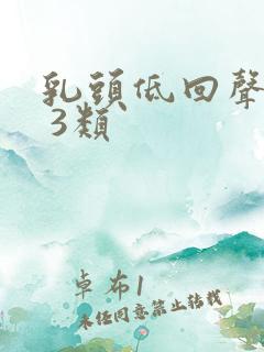 乳头低回声结节 3类