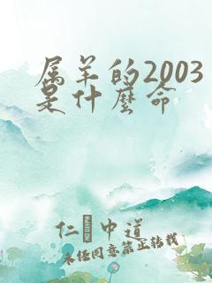 属羊的2003是什么命