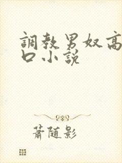 调教男奴高h重口小说