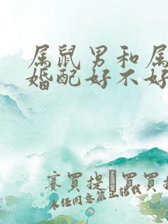 属鼠男和属虎女婚配好不好