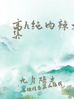 高h纯肉辣文合集