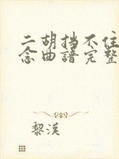 二胡挡不住的思念曲谱完整版