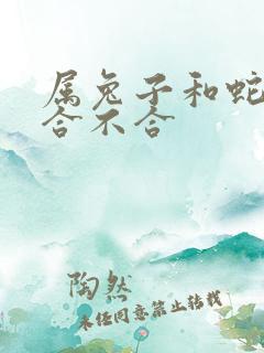 属兔子和蛇属相合不合