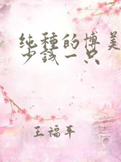 纯种的博美犬多少钱一只