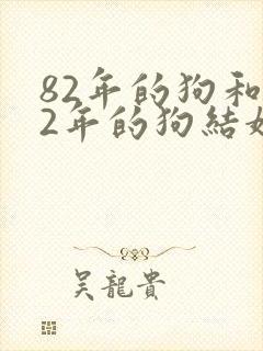 82年的狗和82年的狗结婚好不好