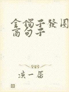 金镯子发圈高情商句子