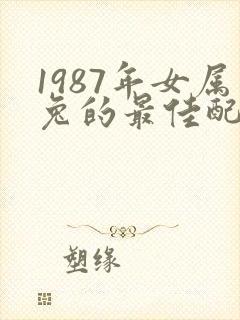 1987年女属兔的最佳配偶