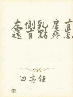 左侧乳房有硬块还有点疼怎么回事