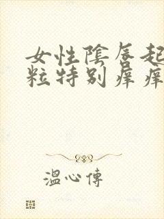 女性阴唇起红肉粒特别痒痒怎么回事