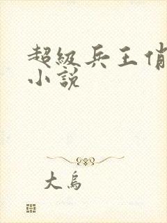 超级兵王俏总裁小说