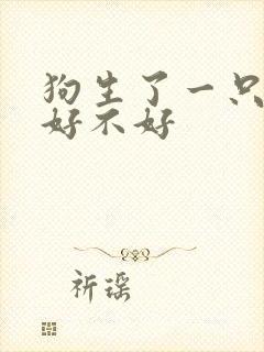 狗生了一只小狗好不好