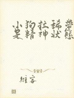 小狗拉稀带血但是精神状态很好