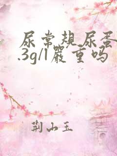 尿常规尿蛋白0.3g/l严重吗