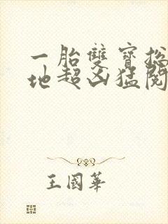 一胎双宝总裁爹地超凶猛阅读全集