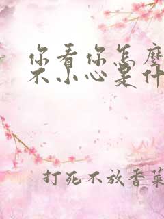 你看你怎么那么不小心是什么歌