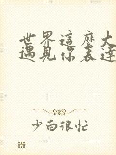 世界这么大还是遇见你表达