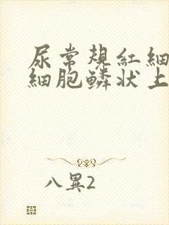 尿常规红细胞白细胞鳞状上皮细胞高