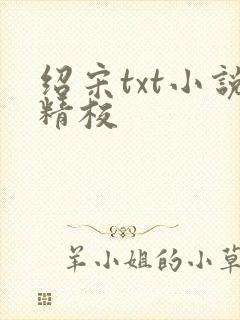 绍宋txt小说精校