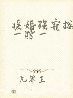 暖婚强宠总裁娶一赠一