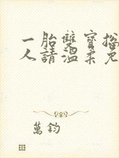 一胎双宝总裁大人请温柔免费阅读