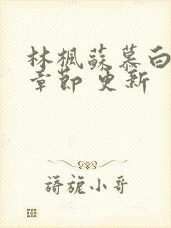 林枫苏慕白最新章节 更新