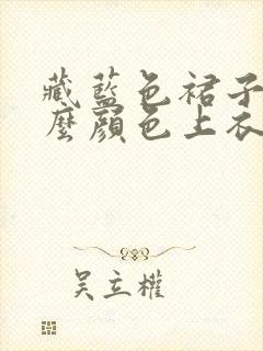 藏蓝色裙子配什么颜色上衣