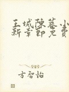 王城陈蓉小说最新章节免费阅读全文