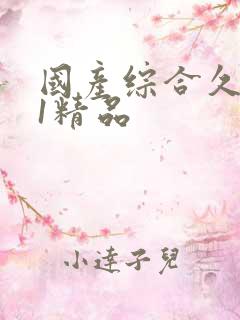 国产综合久久91精品