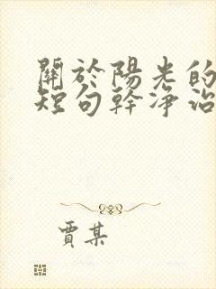 关于阳光的文案短句干净治愈