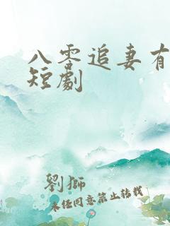 八零追妻有点甜短剧