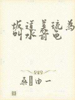 坂道美琉为什么叫水箭龟