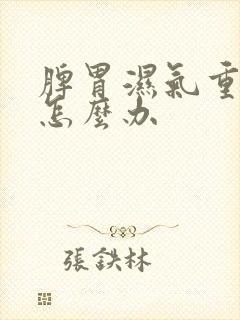 脾胃湿气重湿热怎么办