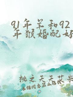 91年羊和92年猴婚配好不好