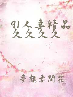 91人妻精品久久久久久