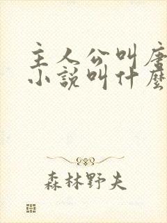 主人公叫唐正的小说叫什么名字