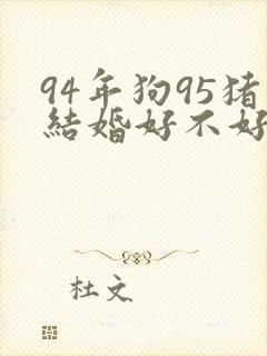 94年狗95猪结婚好不好