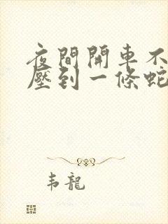 夜间开车不小心压到一条蛇