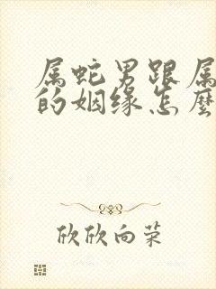 属蛇男跟属马女的姻缘怎么样