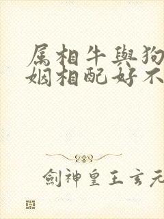 属相牛与狗的婚姻相配好不好